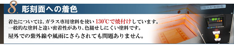 �\�D���[���h���l�C�̂킯8