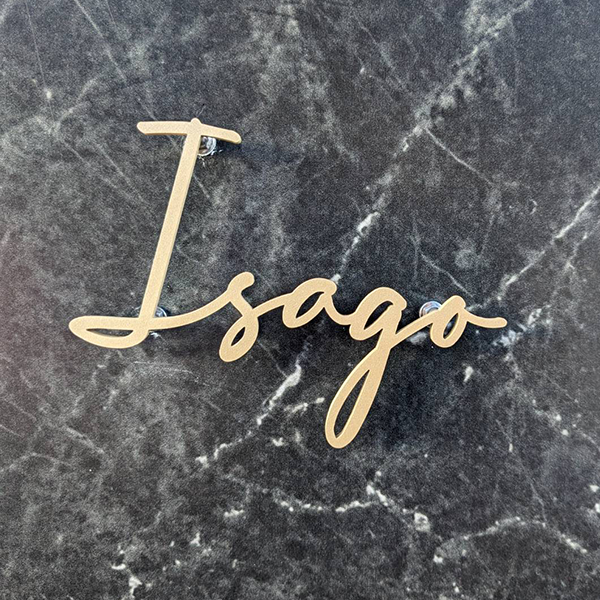 真鍮風のゴールド塗装 華奢でシンプルな手書き風切り文字表札【lcsr-22】