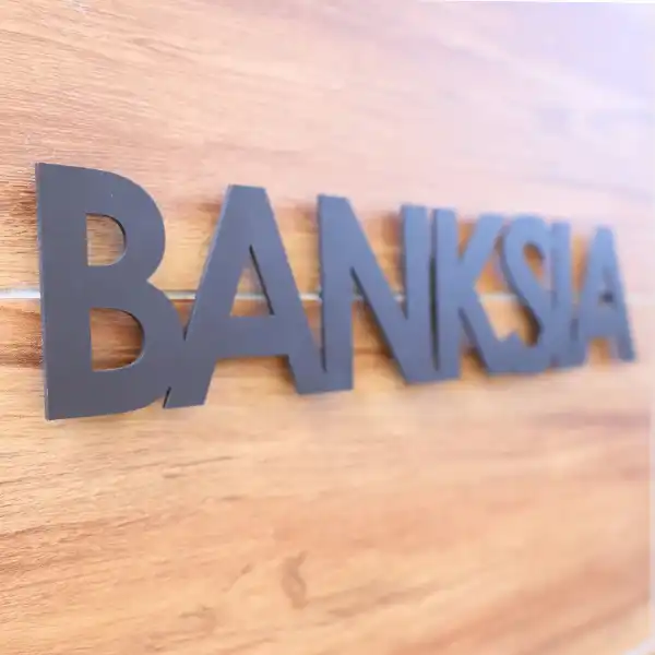 アンダーラインのないシンプルな切り文字レーザーカットステンレス表札【lcsr-01】