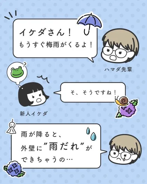 梅雨が来ることを心配するハマダ先輩