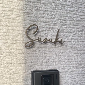 表札ステンレス 真鍮風のゴールド塗装 落ち着いた光沢がシックなゴールド切り文字表札【lcsr-22b】