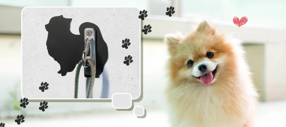 ポメラニアンとリードフック