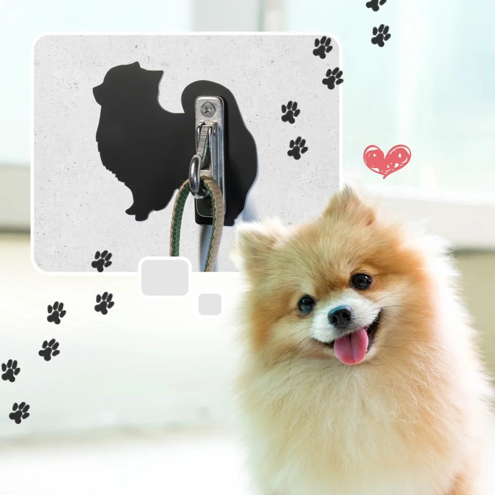 リードフックとポメラニアン