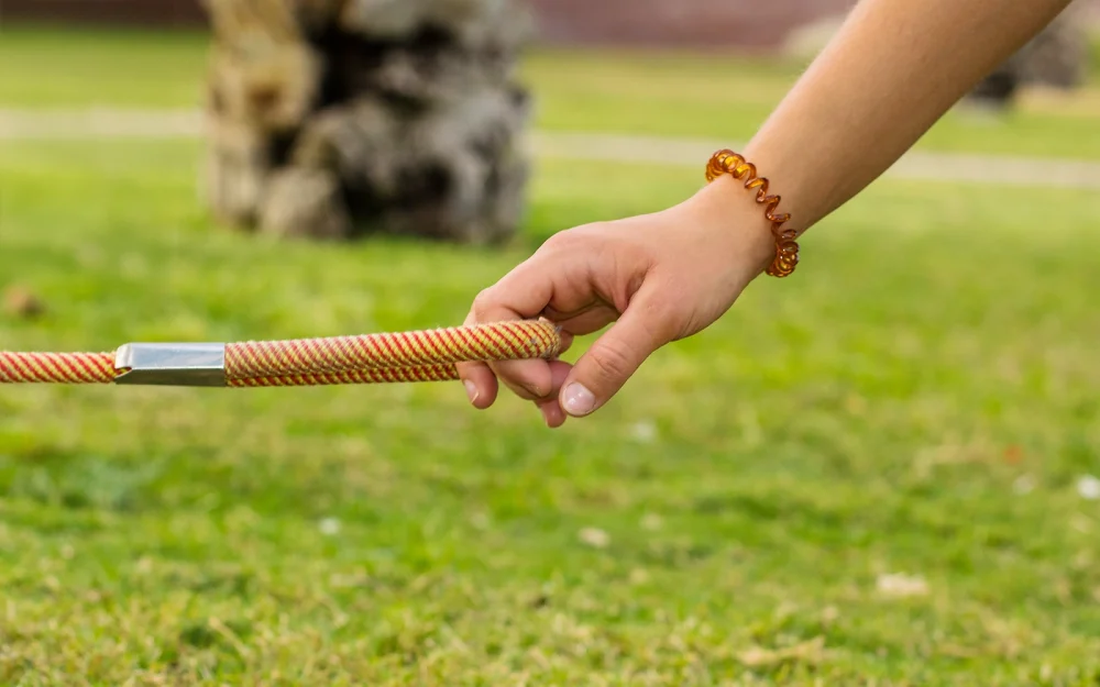 散歩中にリードを持つ手