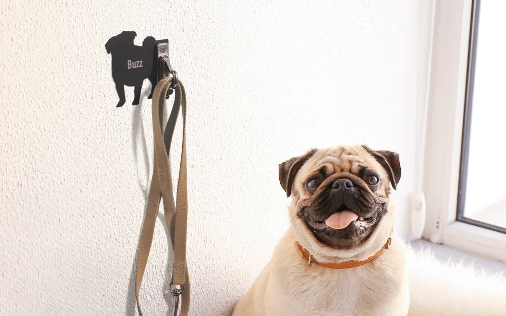 名入れ彫刻を施したブラックのリードフックとパグ