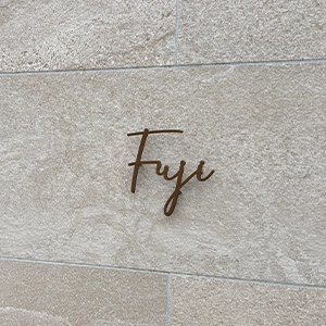 表札ステンレス 真鍮風のゴールド塗装 落ち着いた光沢がシックなゴールド切り文字表札【lcsr-22b】