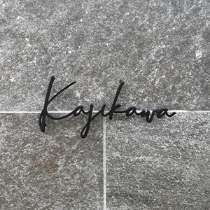 表札ステンレス 真鍮風のゴールド塗装 落ち着いた光沢がシックなゴールド切り文字表札【lcsr-22b】