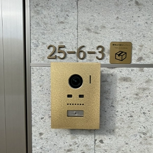  表札 ステンレス ハウスナンバー【真鍮や銅のようなシックな2色 数字 切り文字】 suzy スージィ lcs-nb