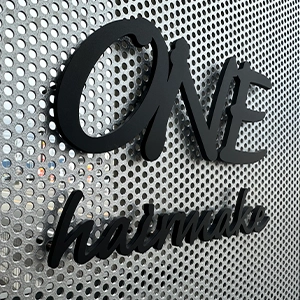 アンダーラインのないシンプルな切り文字レーザーカットステンレス表札【lcsr-02】